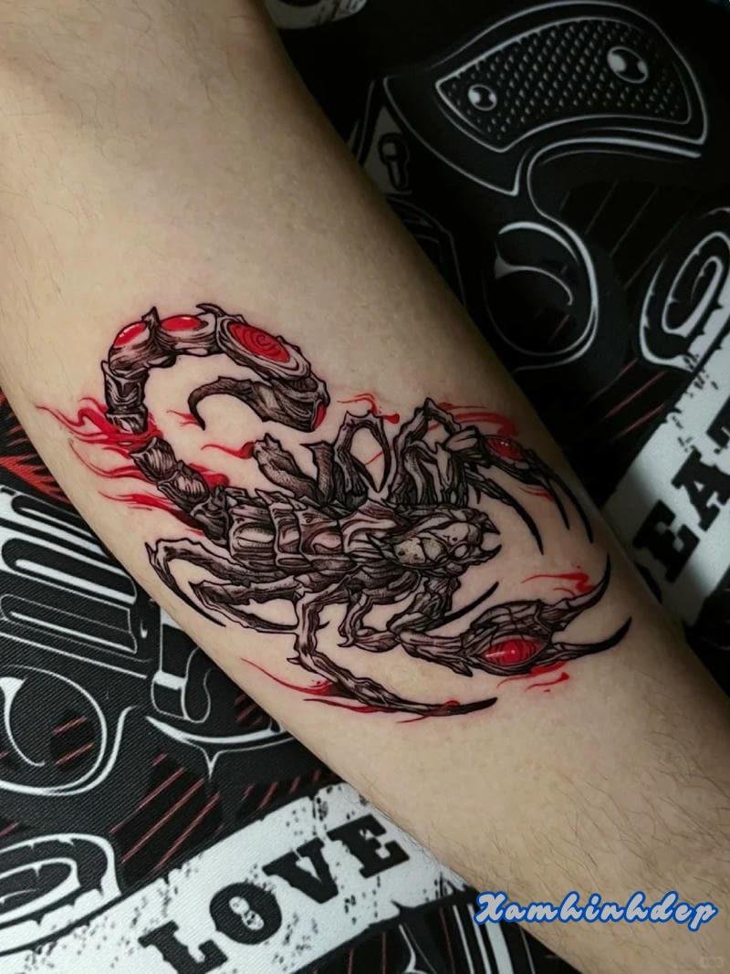 hình xăm bọ cạp nghệ thuật.