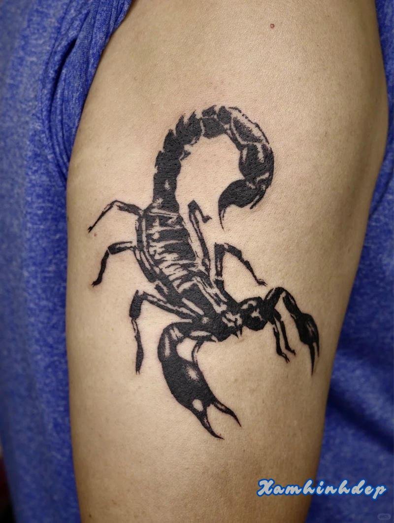 hình xăm bọ cạp nổi bật.