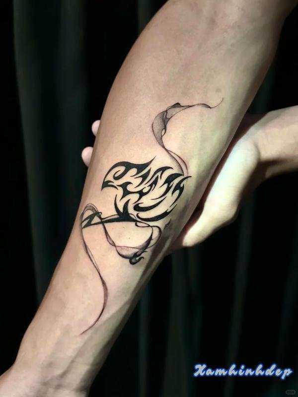 hình xăm fairy tail đẹp.