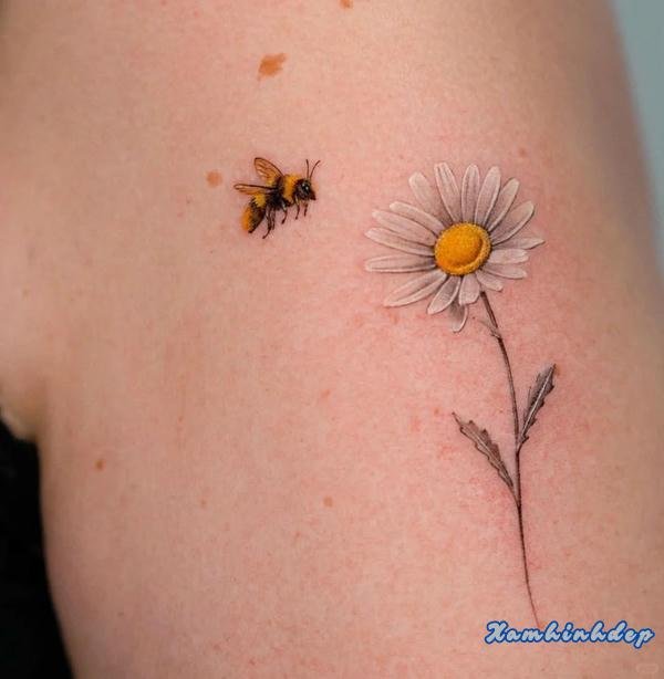 hình xăm hoa cúc thu hút.
