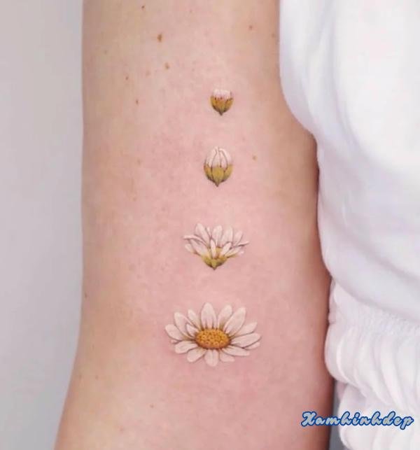 hình xăm hoa cúc tinh xảo.