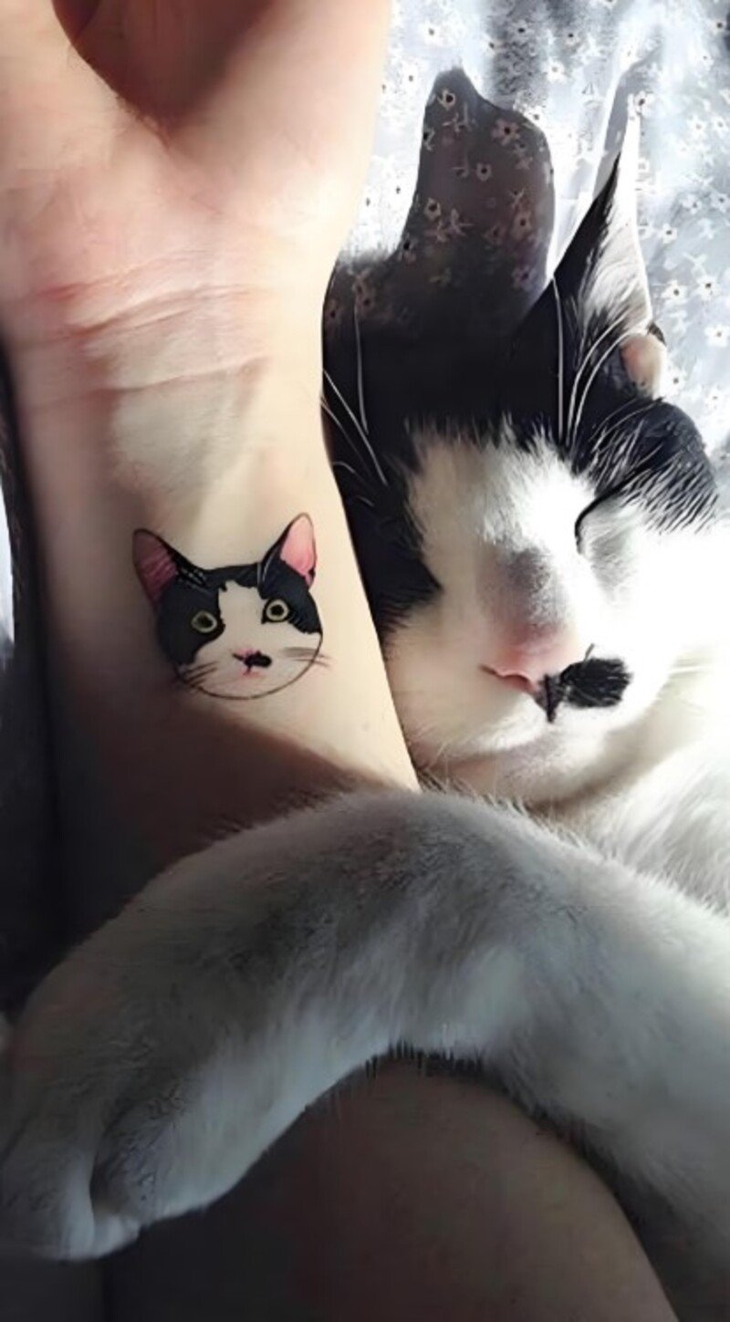 Hình xăm đầu mèo mini cho nam
