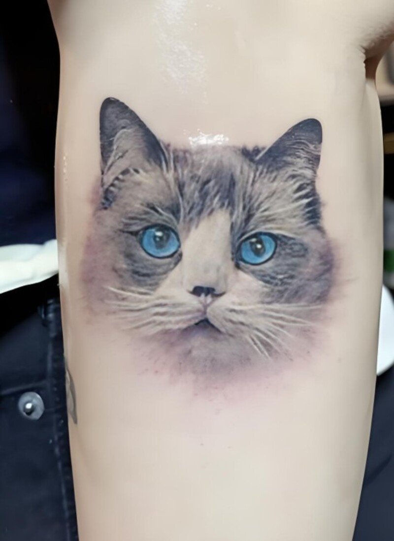 Hình xăm mèo ngầu cho nam