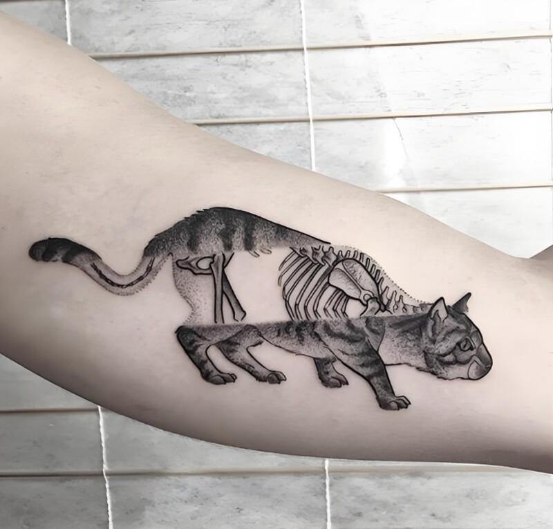 Hình xăm mèo sáng tạo cho nữ