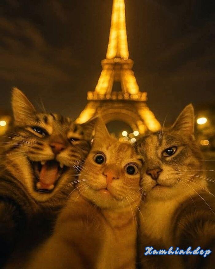 ảnh vô tri đẹp 3k