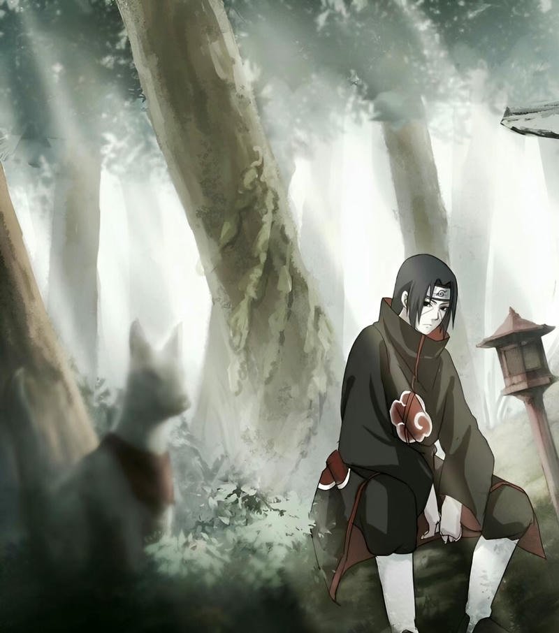 Tổng hợp các mẫu hình xăm đẹp, hot nhất cho nam, nữ