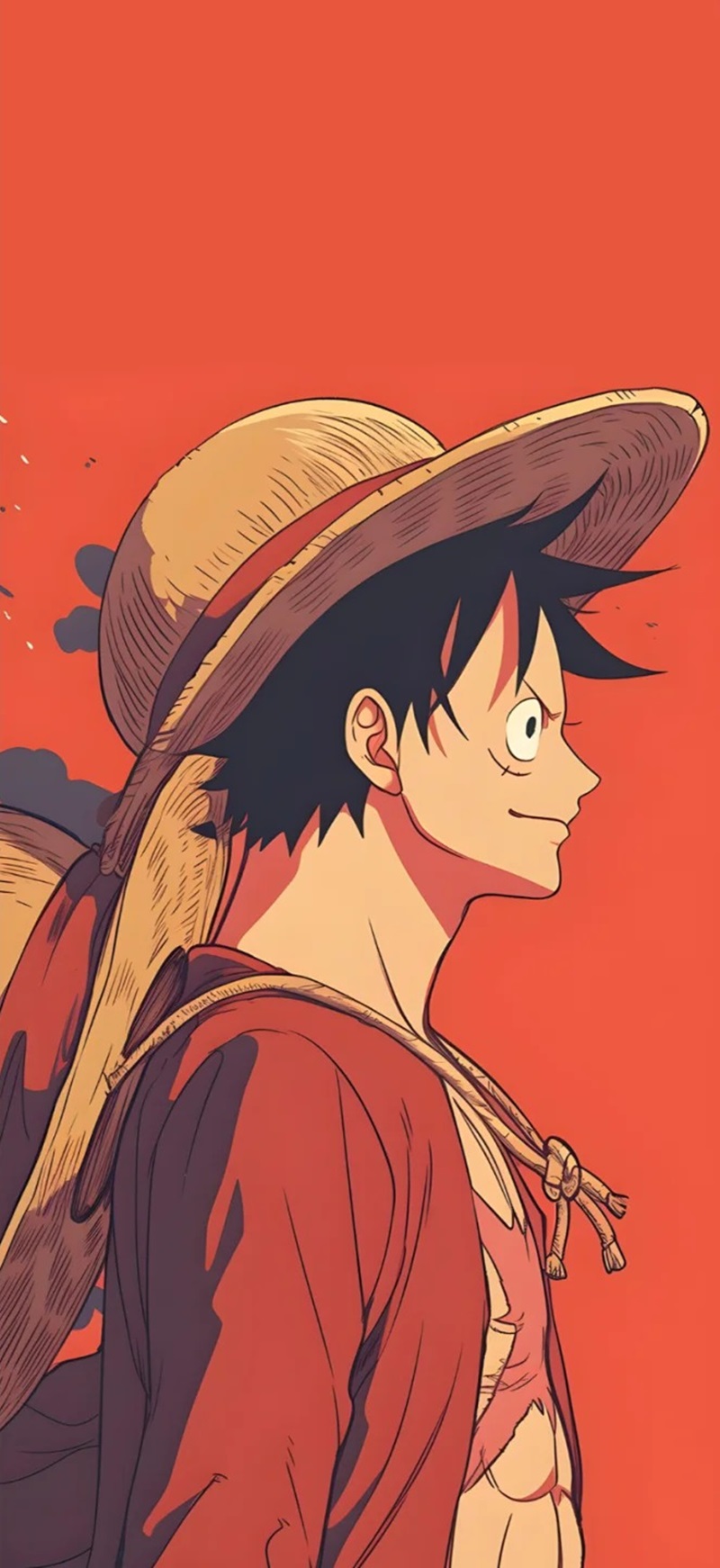 hinh nen luffy