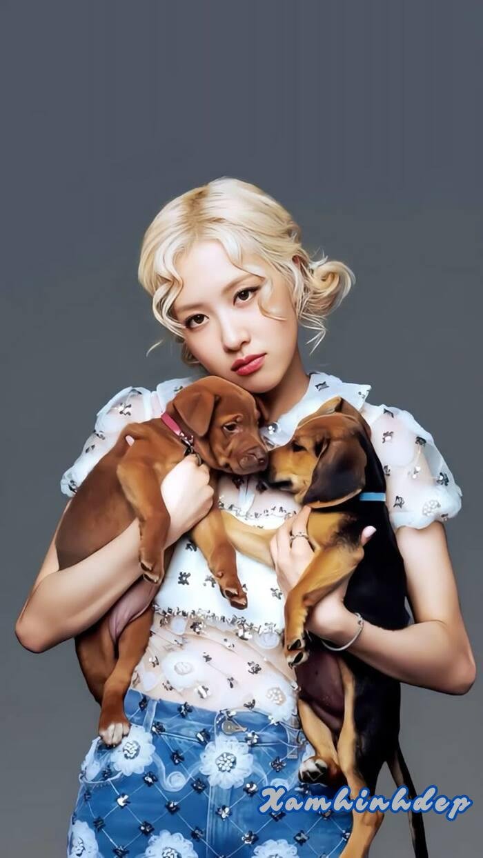 hình rose blackpink 4k