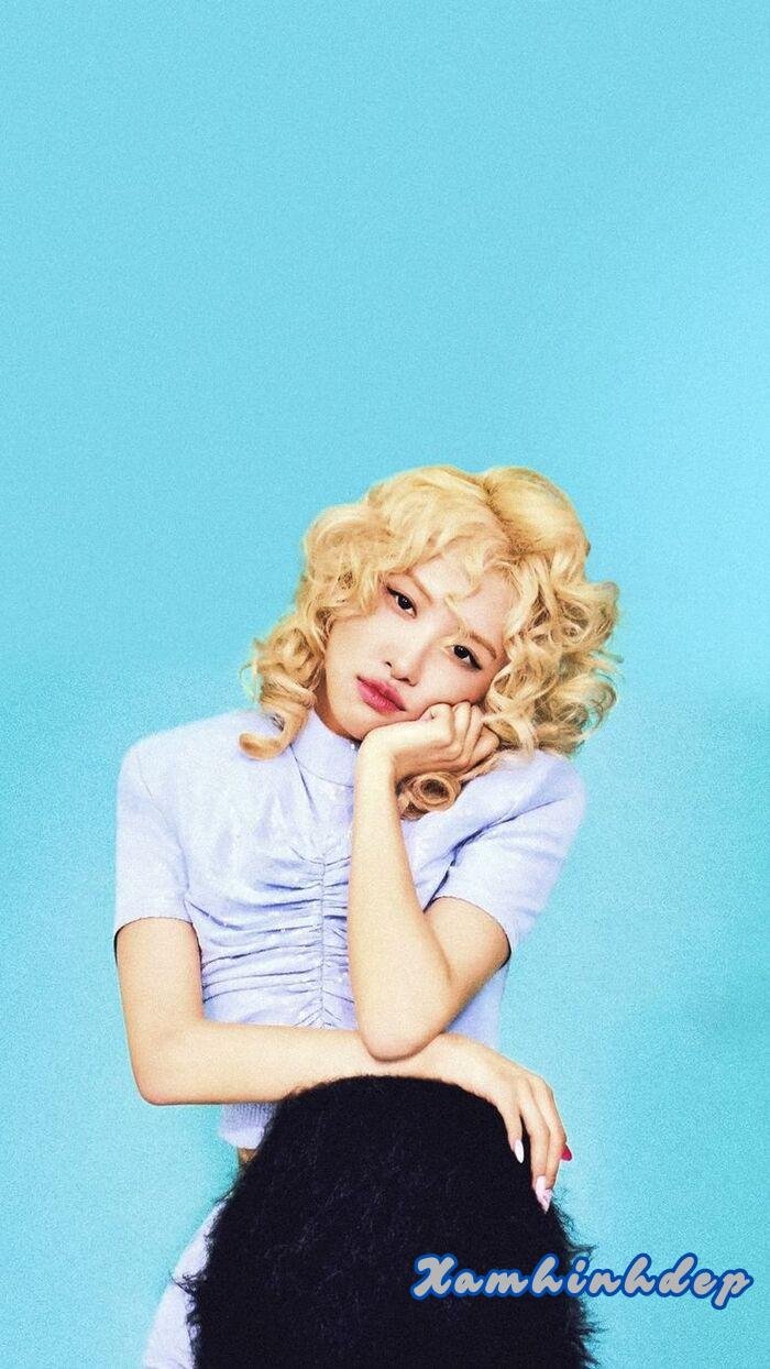 hình rose blackpink xinh 3d