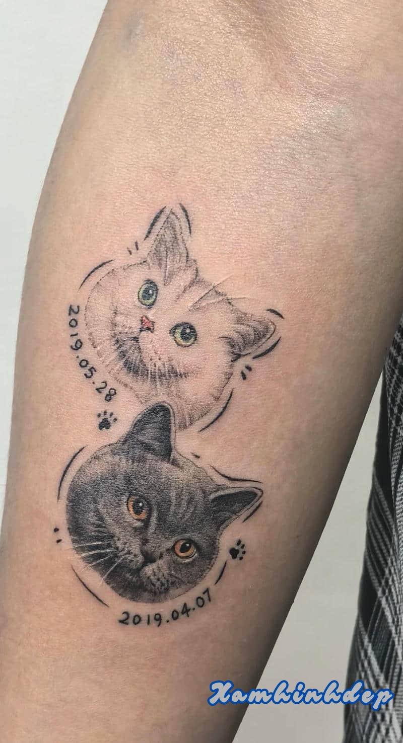 hình xăm con mèo ấn tượng.