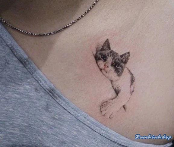 hình xăm con mèo độc đáo.