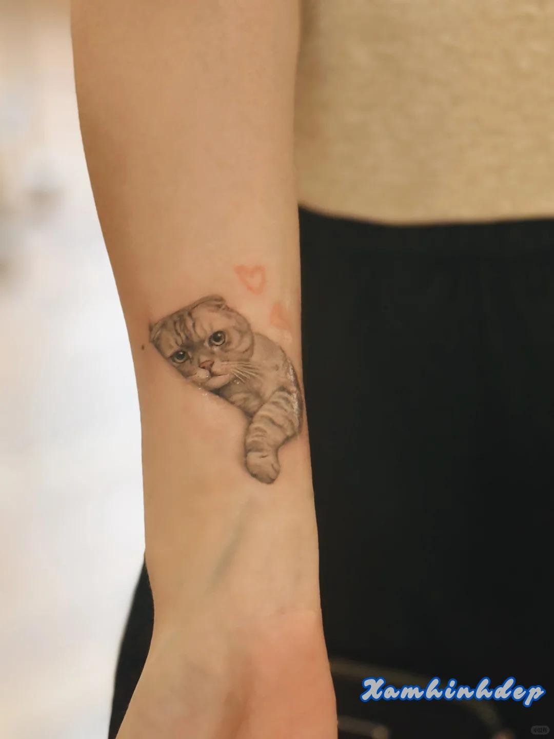 hình xăm con mèo tinh xảo.