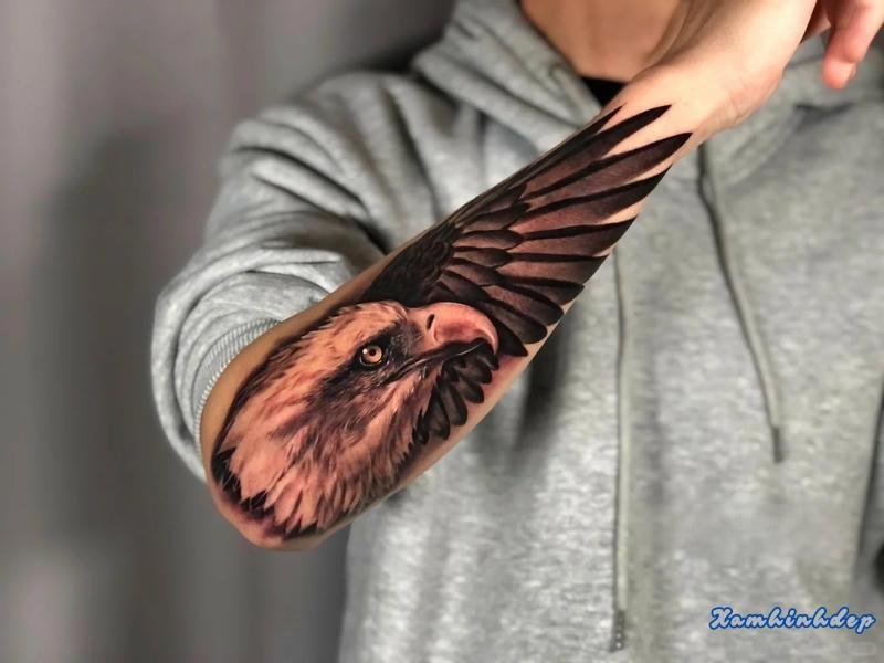 hình xăm đại bàng ấn tượng.