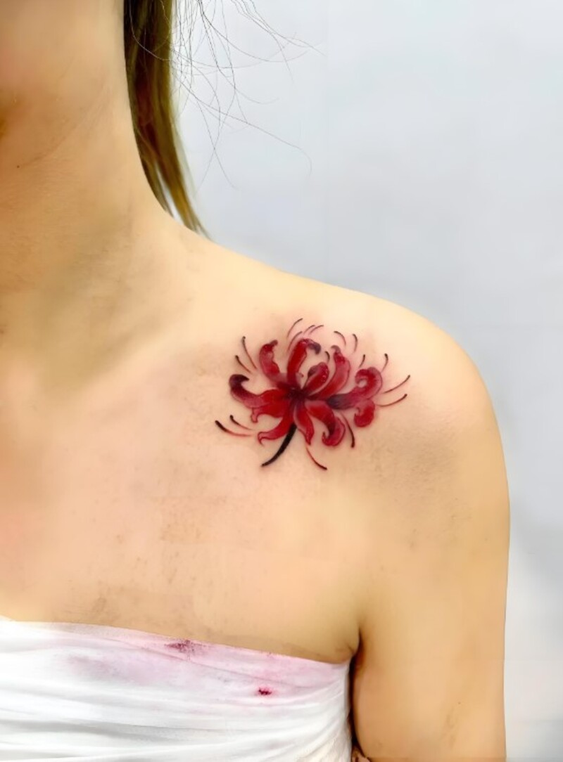 hình xăm hoa bỉ ngạn ở xương quai xanh cho nữ