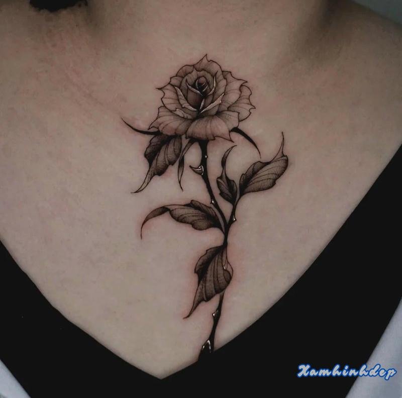 hình xăm hoa hồng ấn tượng.