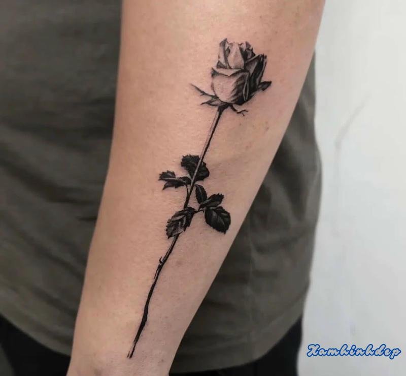 hình xăm hoa hồng độc đáo.