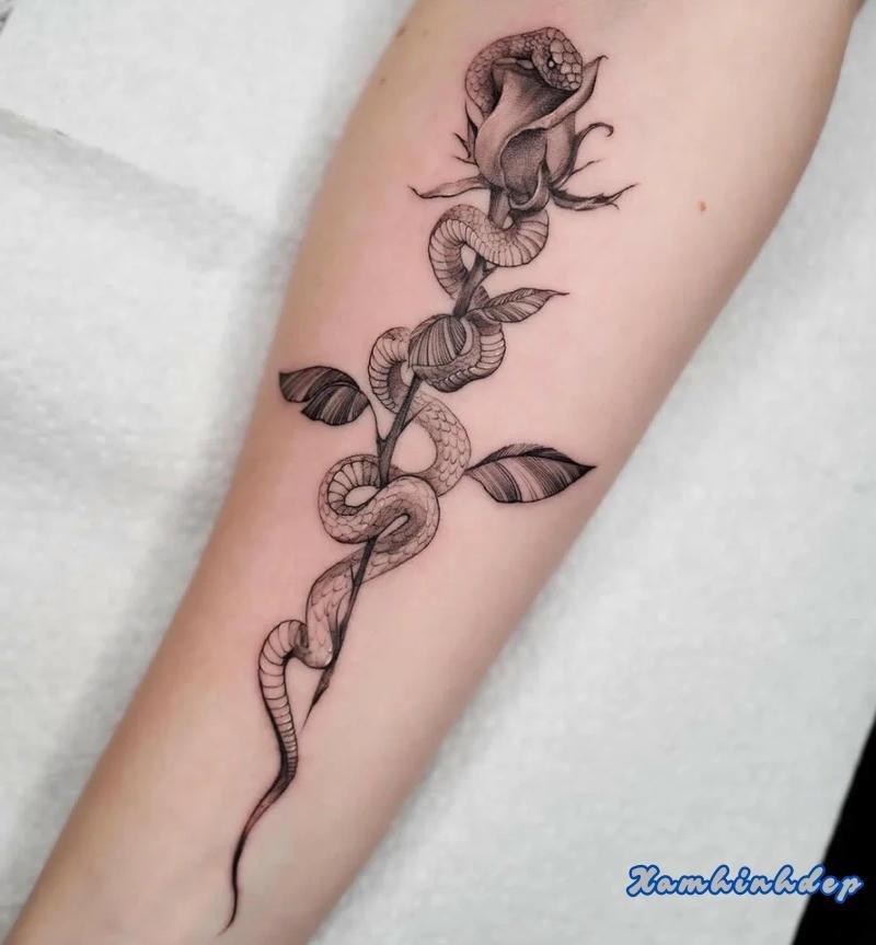 hình xăm hoa hồng nổi bật.