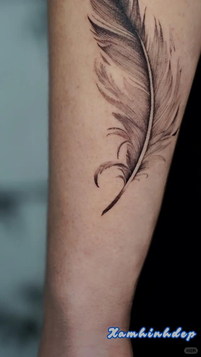 hình xăm lông vũ nghệ thuật.