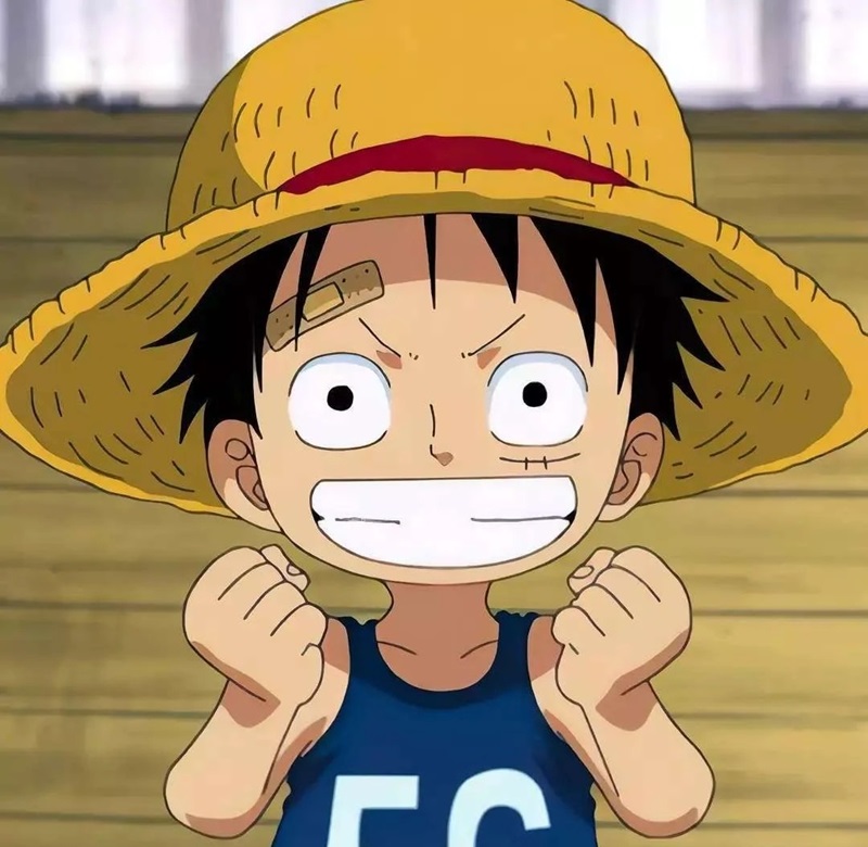 luffy ảnh