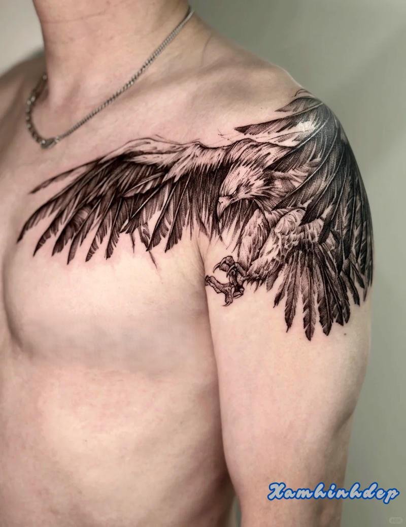 mẫu hình xăm đại bàng.