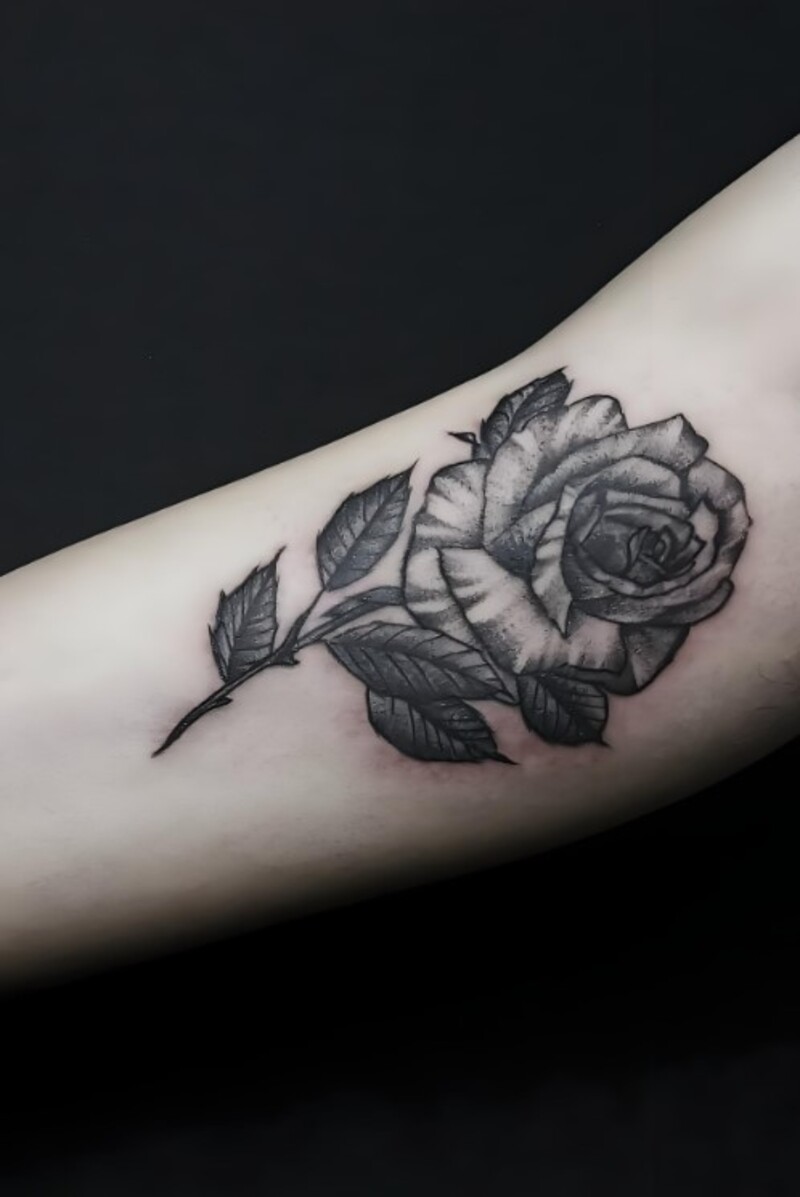 mẫu hình xăm hoa hồng cho nam