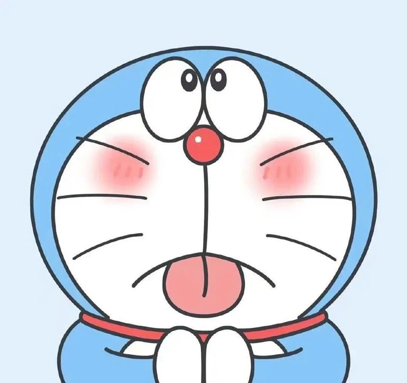 mèo cute phô mai que