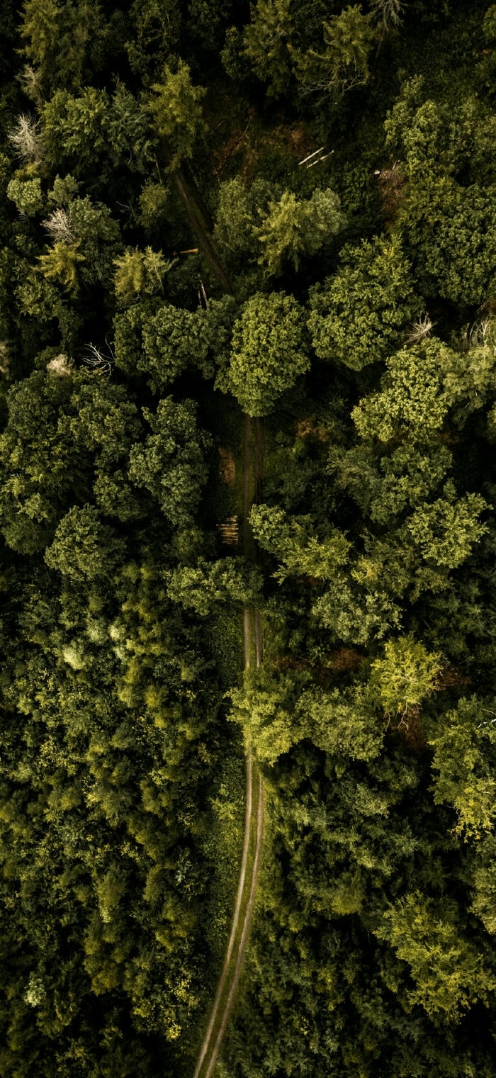 ảnh đẹp thiên nhiên 4k
