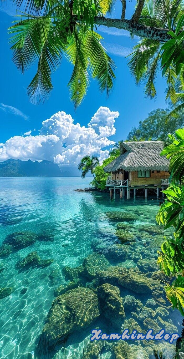 ảnh phong cảnh chill 3k full