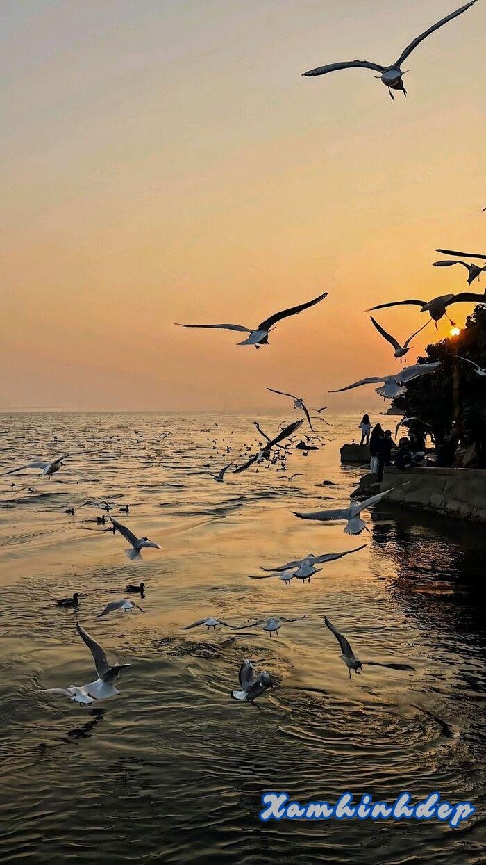 ảnh phong cảnh chill 4k full