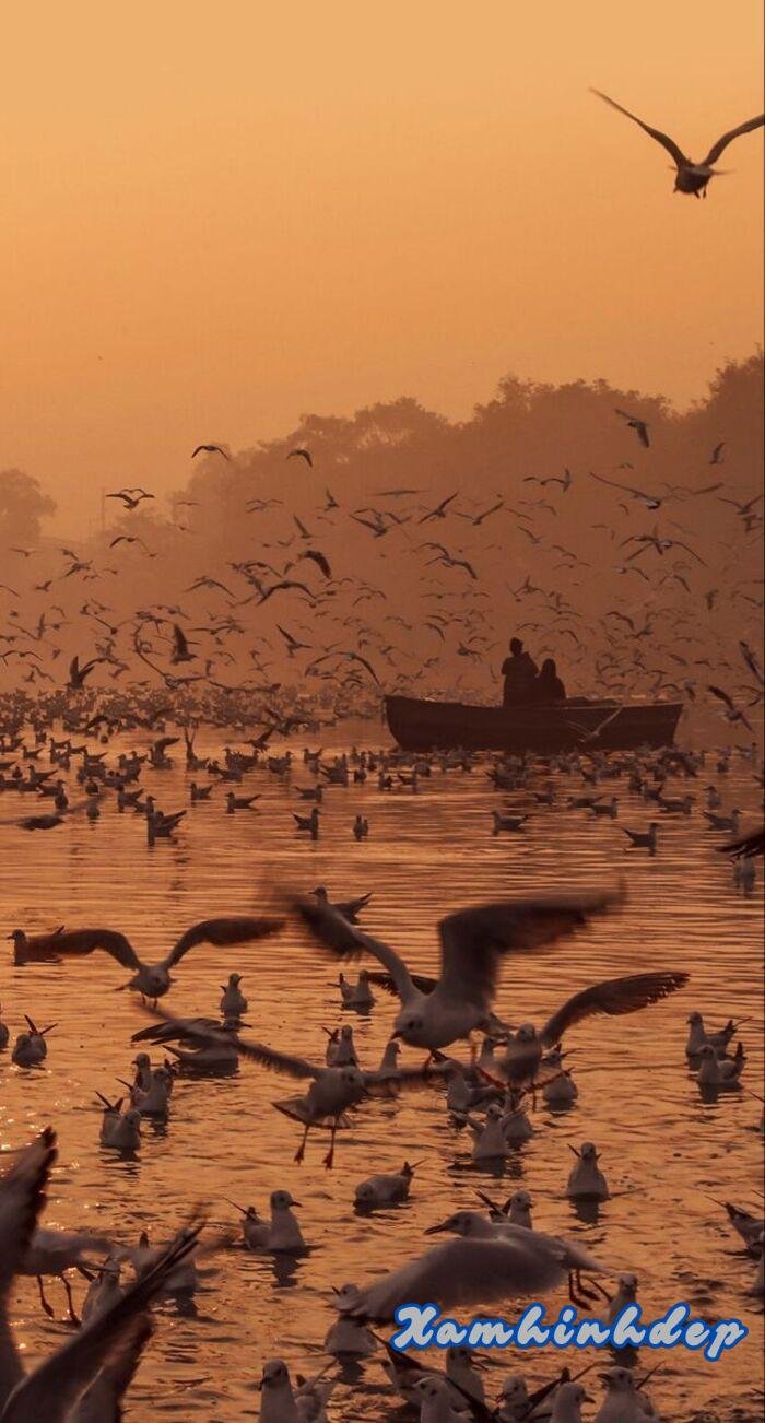 ảnh phong cảnh chill 5s