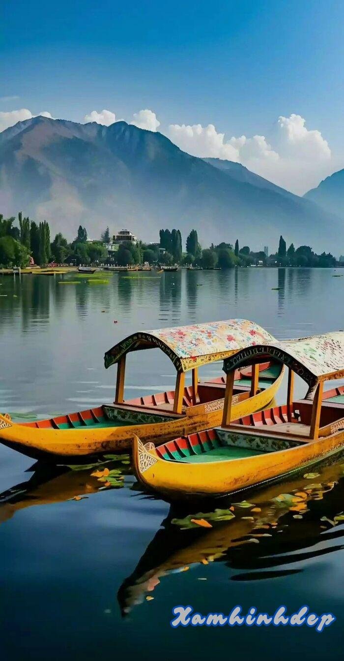 ảnh phong cảnh chill đẹp