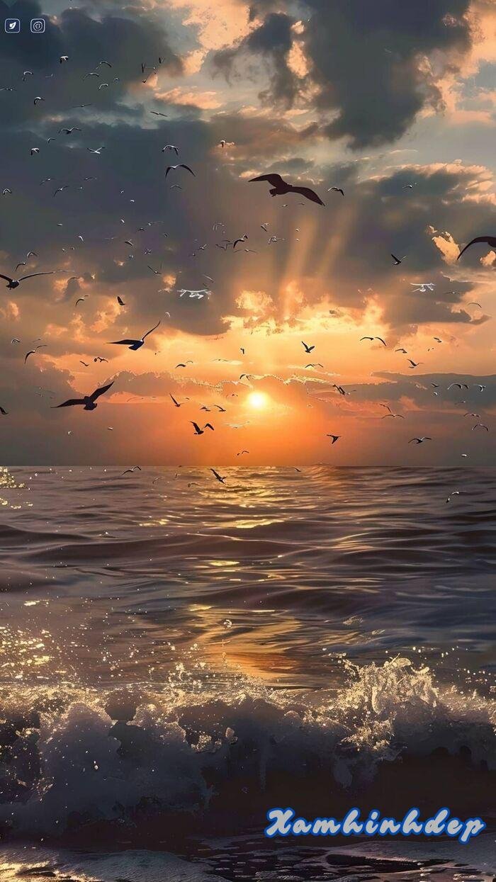 ảnh phong cảnh chill đẹp full