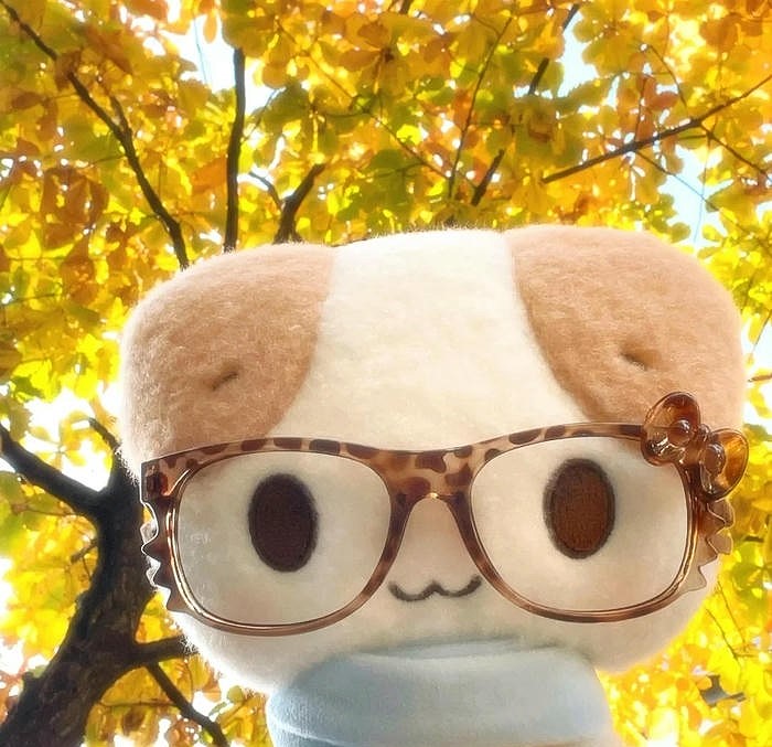 các hình ảnh cute