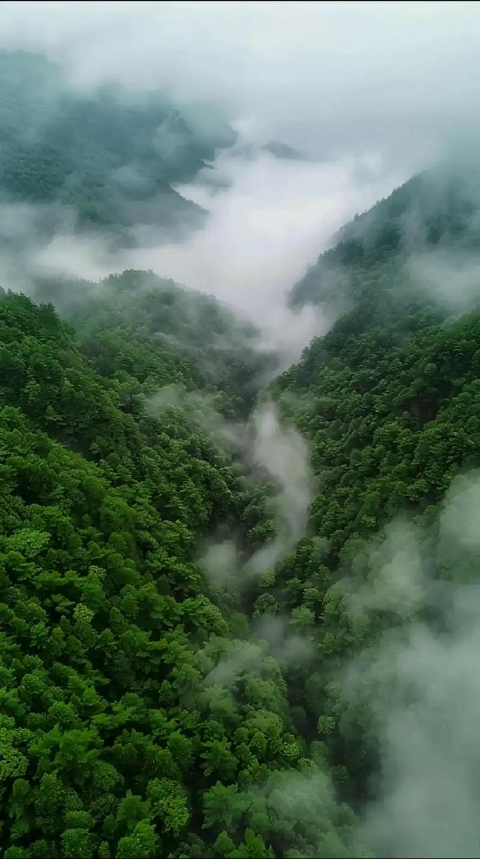 hình nền 4k thiên nhiên