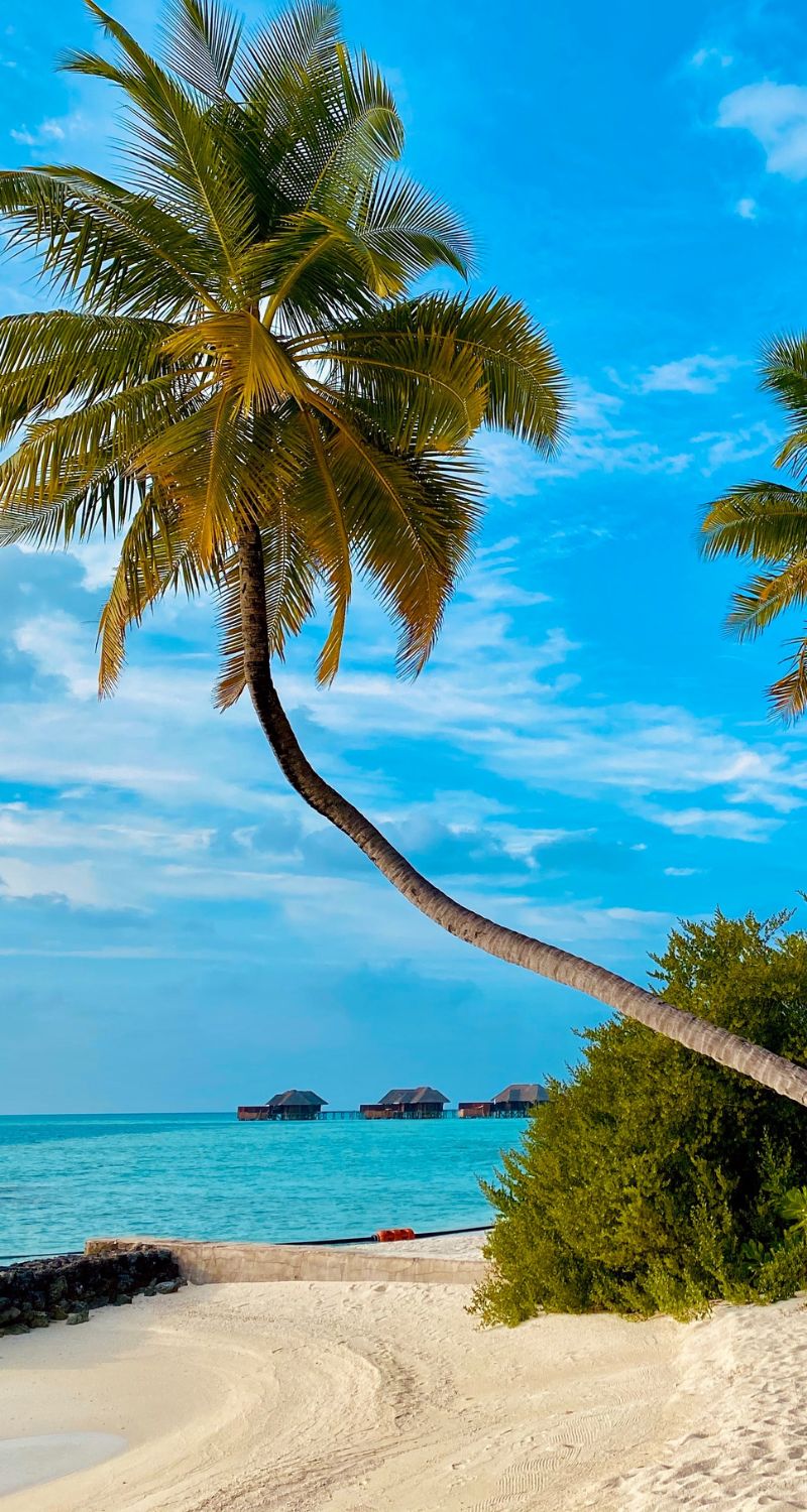 hình nền bãi biển đẹp