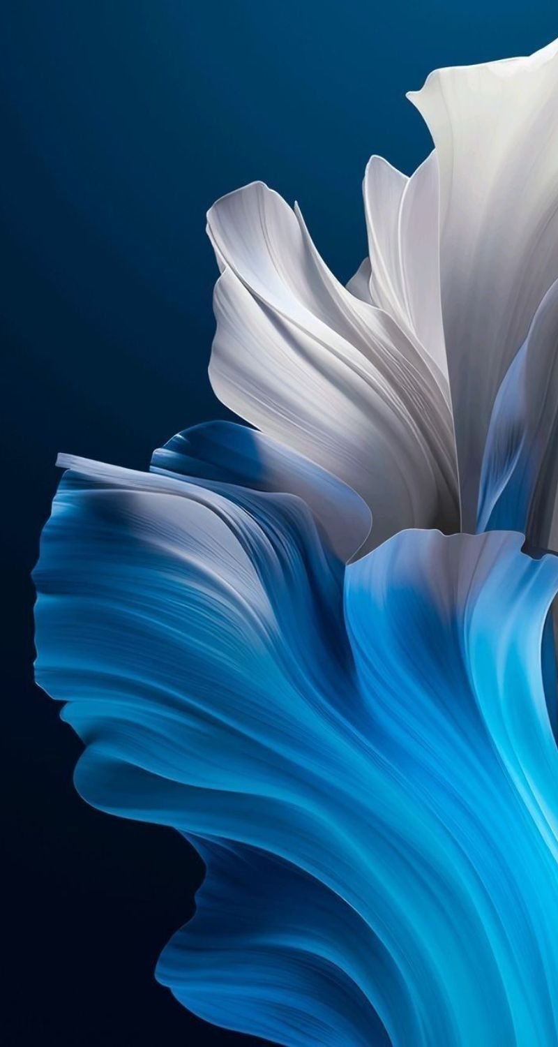 Tổng hợp các mẫu hình xăm đẹp, hot nhất cho nam, nữ