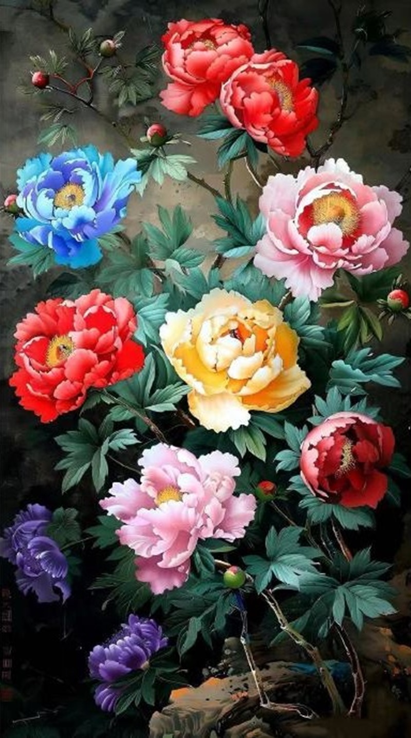 hoa mẫu đơn hình nền ý nghĩa