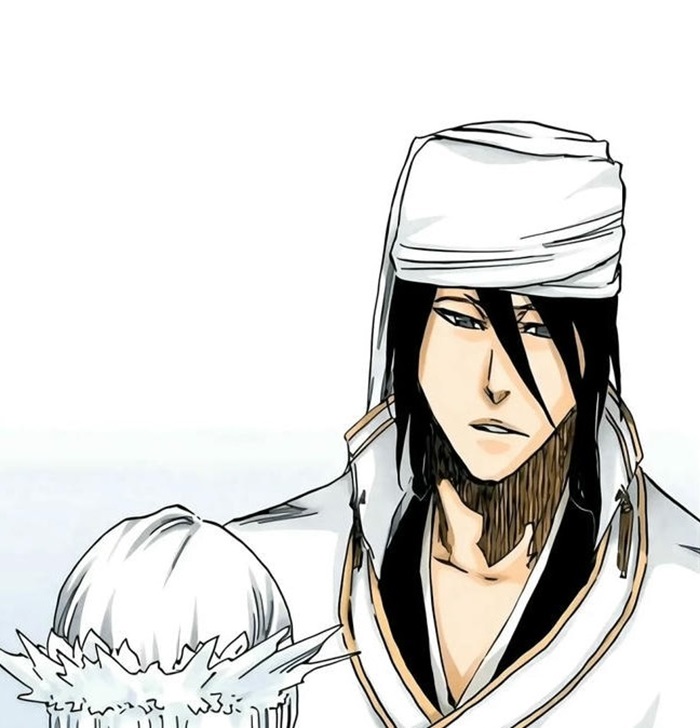 kuchiki byakuya ảnh