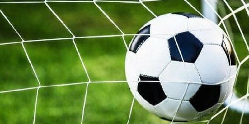 Bí Quyết Soi Kèo Rung Hiệu Quả Nhất tại 8xbet