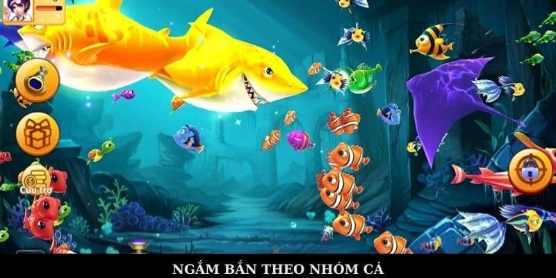 Khám phá đại dương kỳ thú cùng bắn cá rikvip