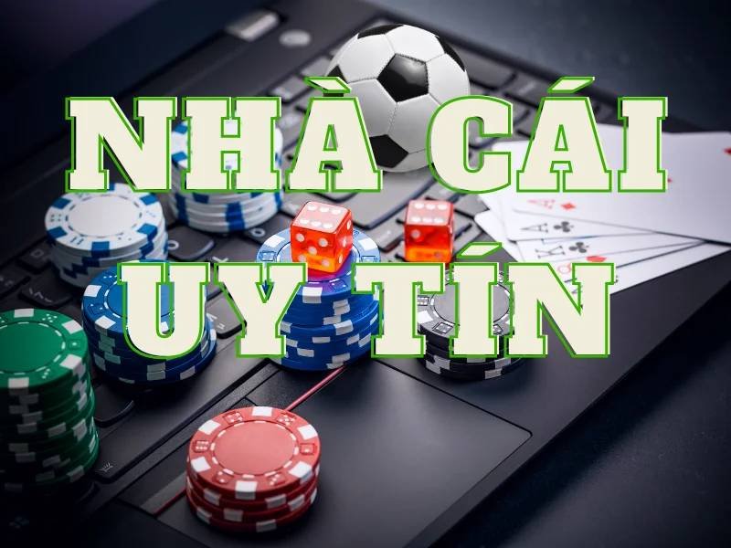 Trải nghiệm người dùng và đánh giá từ cộng đồng