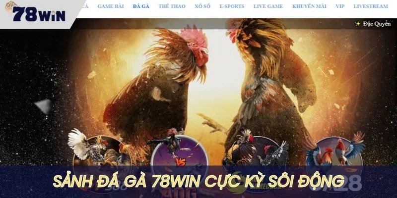 Tổng quan về đá gà tại 78win