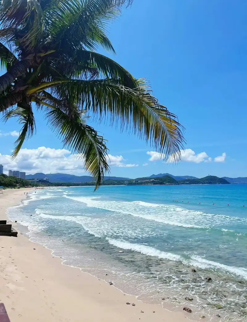 hình nền biển 39