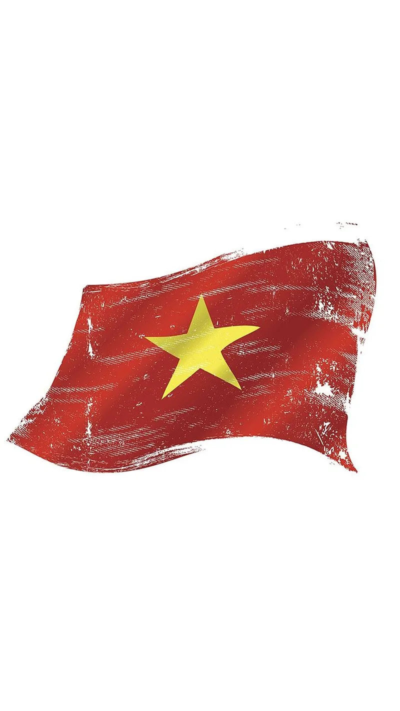 hình nền việt nam 25