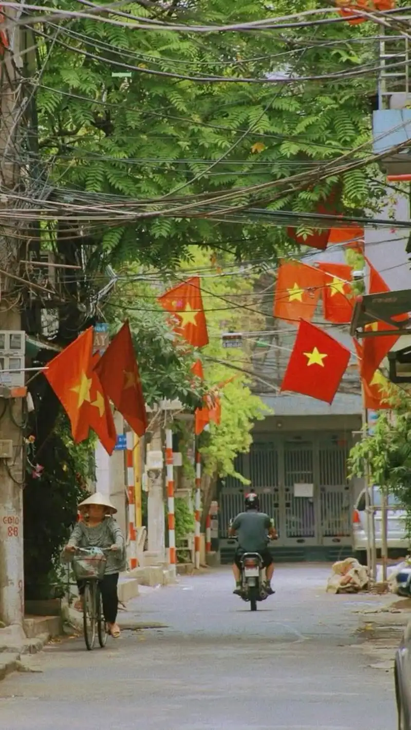hình nền việt nam 8