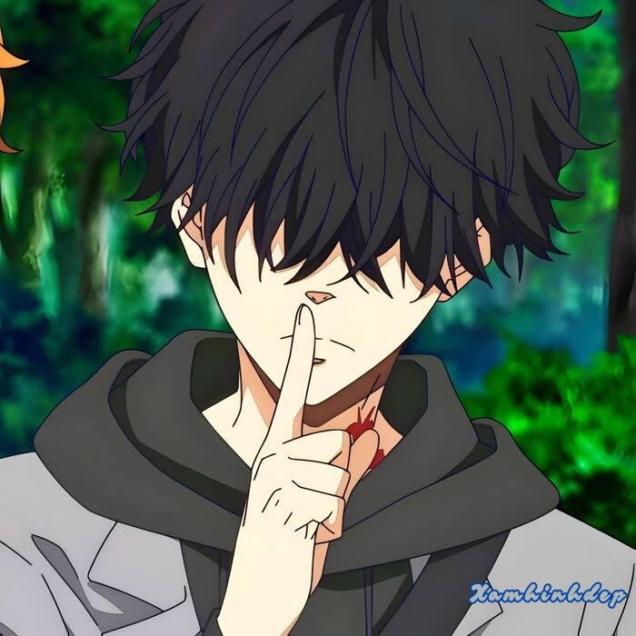 ảnh anime nam ngầu