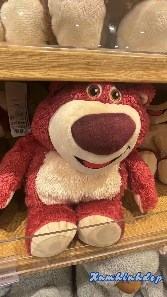 ảnh gấu dâu cực đáng yêu