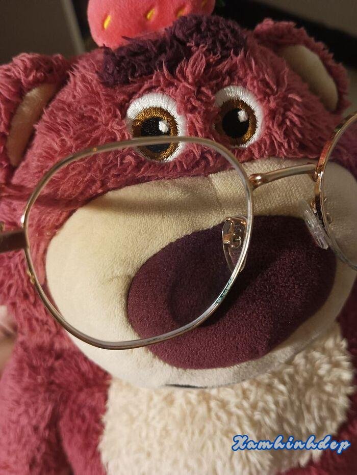 ảnh gấu dâu cực dễ thương full hd