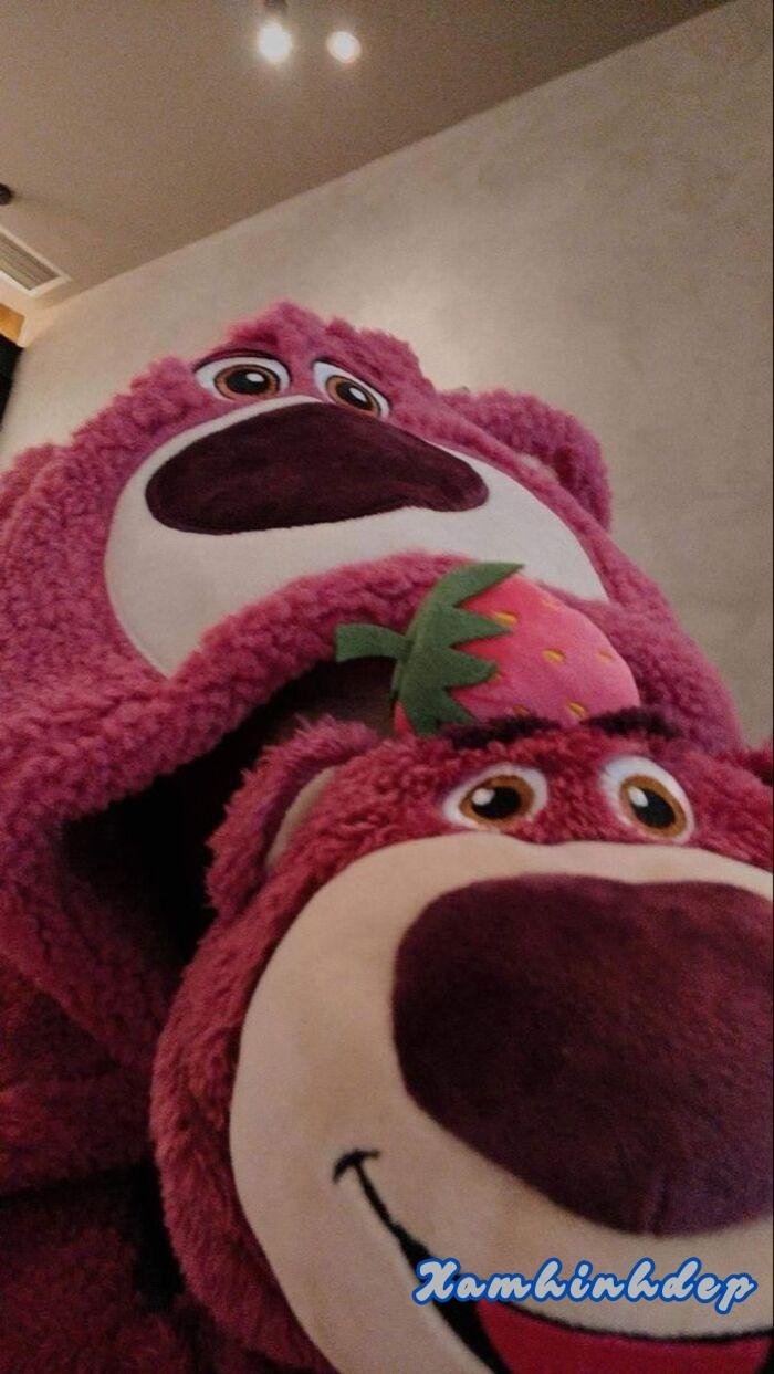 ảnh gấu dâu cực dễ thương hd