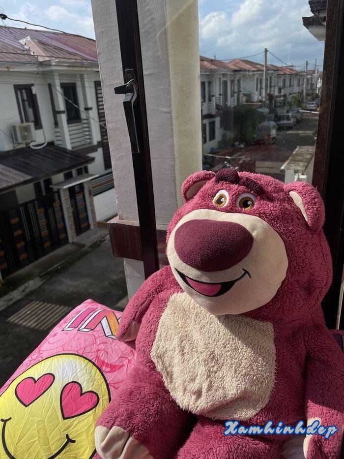 ảnh gấu dâu cute nhất